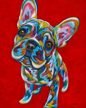 Why Not? - Frenchie, French Bulldog