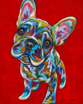 Why Not? Frenchie, French Bulldog METAL PRINT SIZE 11" X 14"