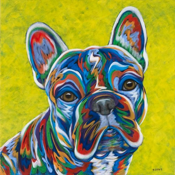You Can't Say 'NO' To These Eyes - Frenchie, French Bulldog METAL PRINT SIZE 12" X 12"