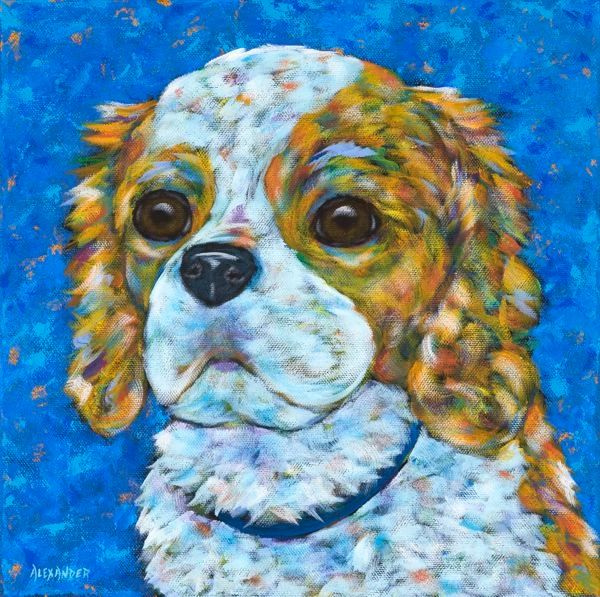 The King - King Charles Cavalier