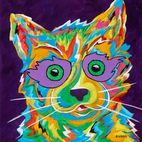 Feeling Frisky - Cat