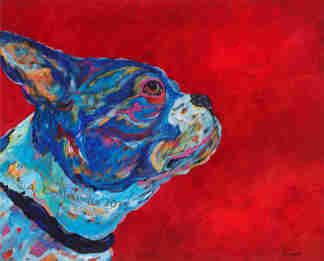 In The Wind - Boston Terrier