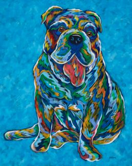 More To Love - English Bulldog