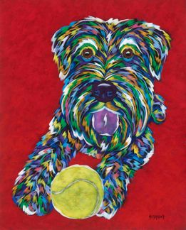 Come And Get It - Schnauzer Metal Print SIZE 11" x 14"