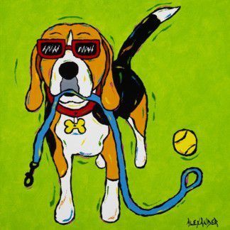 Gotta Go - Beagle