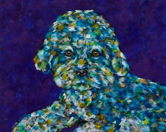 Are You Finally Ready? - Cockapoo