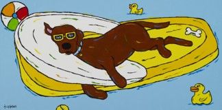 Chocolate Float - Chocolate Labrador Retriever
