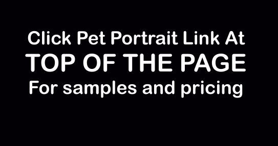 Custom Pet Portraits