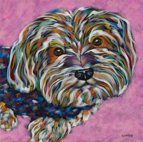 Little Princess - Yorkie METAL PRINT Size 12" x 12"