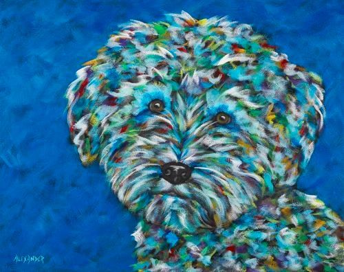 Sweet and Silly! - Schnoodle, Schnauzer, Poodle - Metal print size 11" x 14"