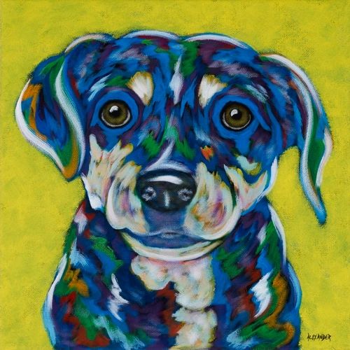 Second Chance - Mutt, Beagle Mix