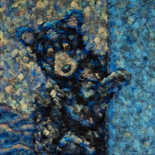 Curious Little One - Bear
