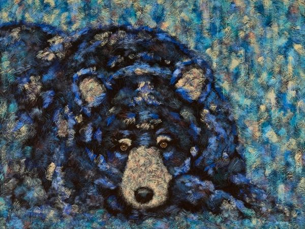 BEARY Sleepy - Bear