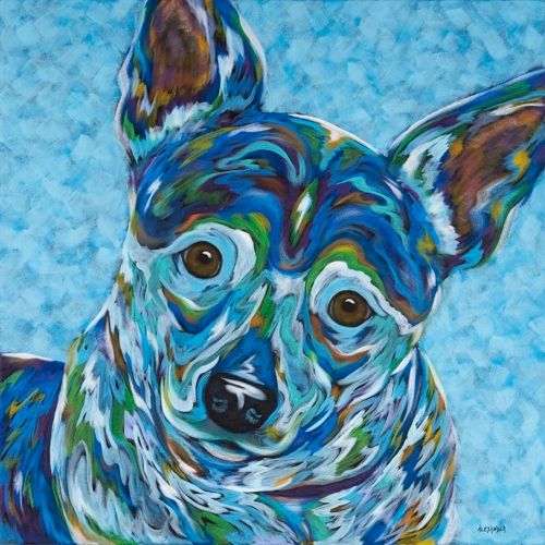 Sweet Baby - Rat Terrier