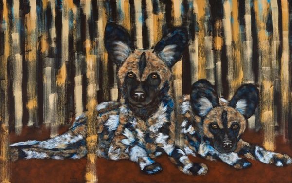 Can You See Me? - African Wild Dog, African Painted Dog