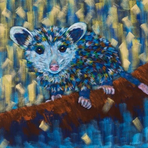 Trash Never Looked So Cute - Possum, Opossum METAL PRINT SIZE 16" X 16"
