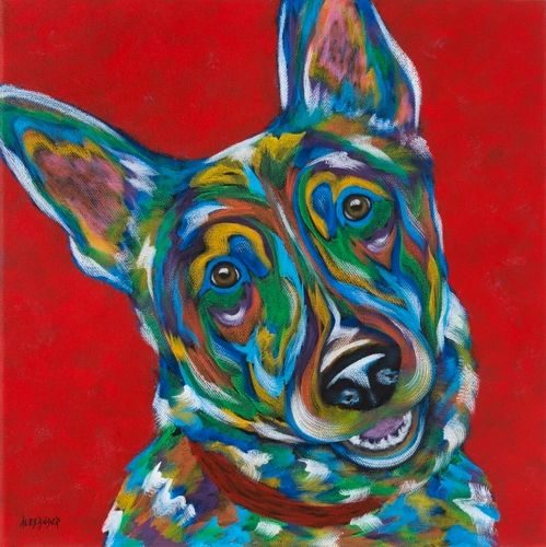 Huh? - German Shepherd