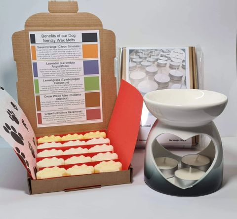 Dog Friendly Wax Melt Starter Set, Natural Wax Melts, Christmas Gift Idea,  Hand Made in the UK, Natural Tealights, Made With Essential Oil 
