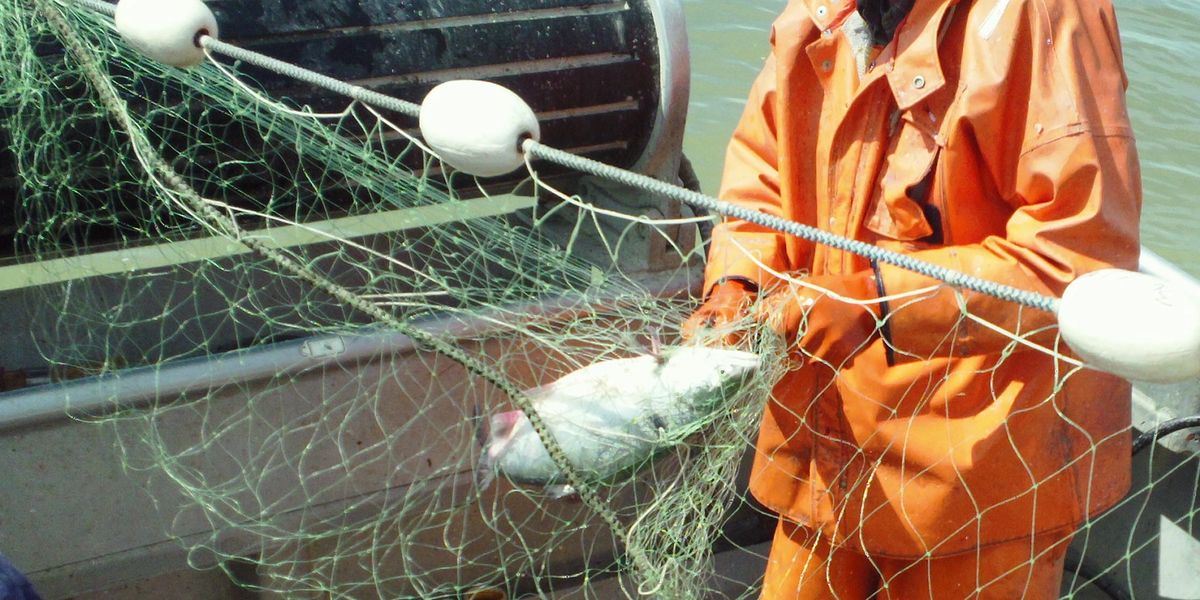 Fishing Nets for sale in Lubec, Maine, Facebook Marketplace