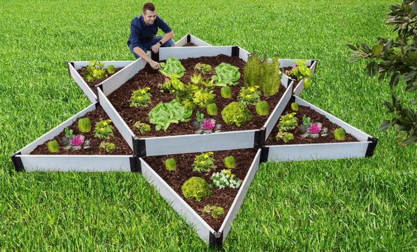 Frame It All Raised Garden Bed Garden Star 12 X 12 X 16 Clas