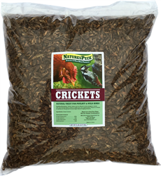 Dried Crickets - 5 lbs