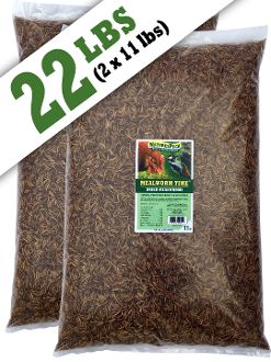 Mealworm Time®Dried Mealworms - 22