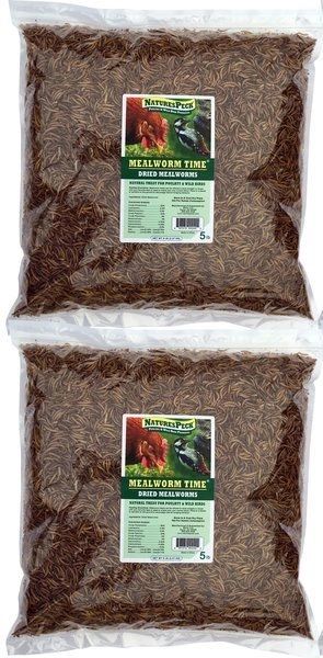 Mealworm Time® Dried Mealworms - 10 LBS / 2 x 5 lb