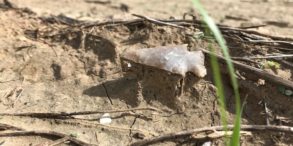 Arrowheads and other artifacts connect us to the people who lived on these lands before us.