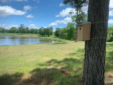 Eastern Bluebird nest box installed by Canvas. An excellent component of a wildlife management plan.