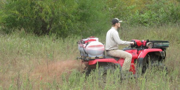 Herbicides can be used to control undesired vegetation to reach your habitat needs.