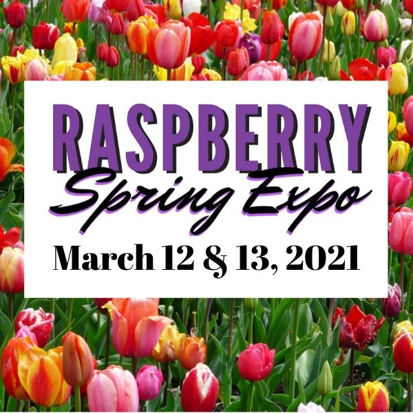 2021 Raspberry Spring Expo