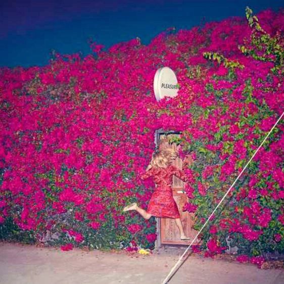 FEIST PLEASURE 2LP