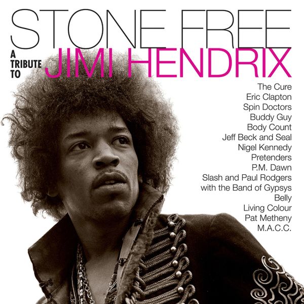 STONE FREE: A TRIBUTE TO JIMI HENDRIX 2LP CLEAR AND BLACK LP