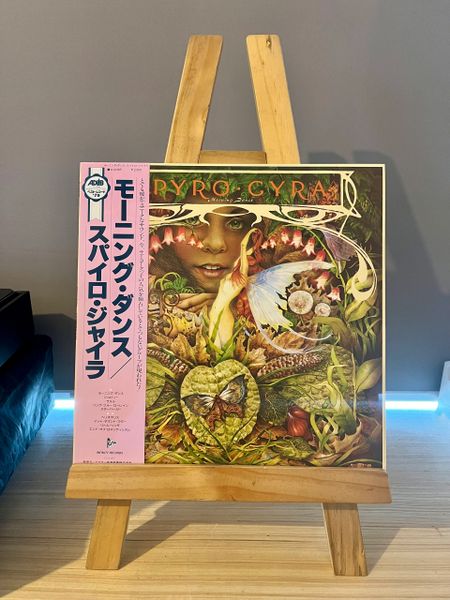 (USED) SPYRO GYRA MORNING DANCE FIRST PRESSING