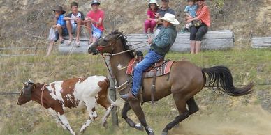 Cowboy on horseback chasing a cow in a rodeo setting.