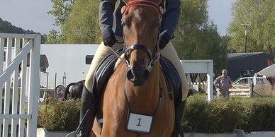 A rider on a horse wearing number 1 at an equestrian event.