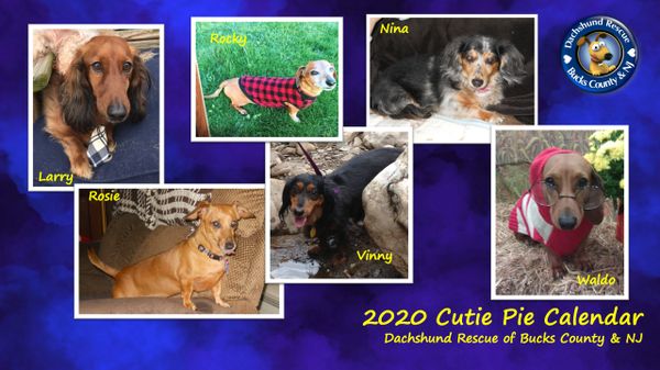 2020 DRBC Calendar