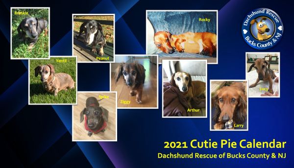 2021 DRBC Calendar & Planner Combo