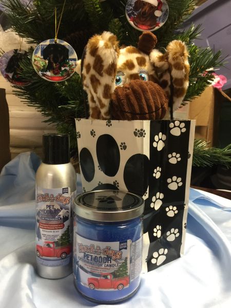Pet Odor Holiday Candle Package