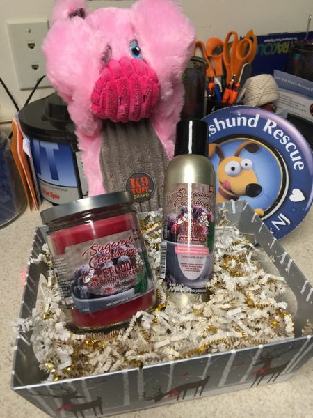 Pet Odor Valentine Candle Package w/ Toy