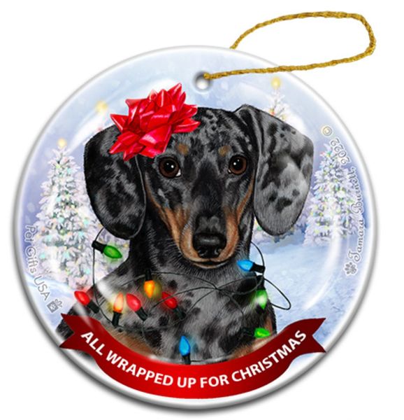 Holiday Ornament - All Wrapped Up