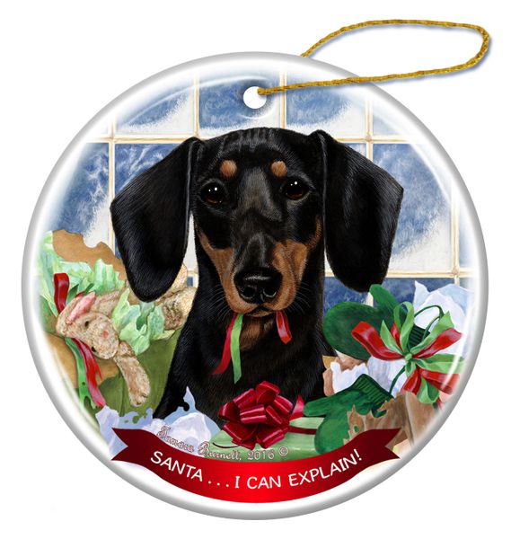 Holiday Ornament - I Can Explain