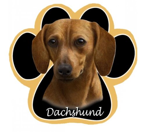 Doxie Car Magnet I