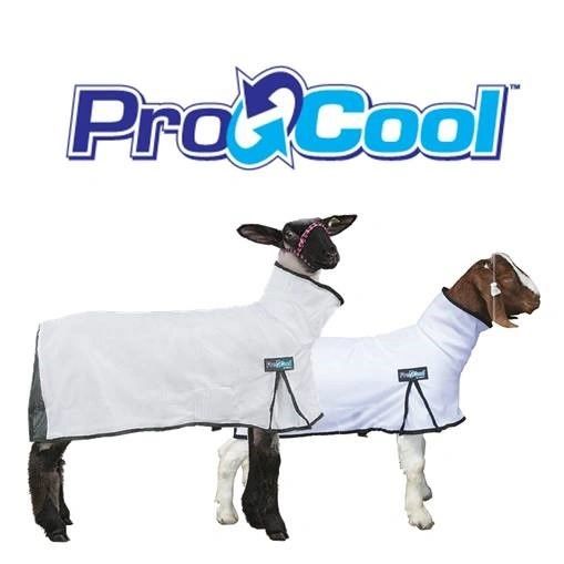 Weaver Leather brand ProCool Goat Blanket Goat Supplies The Goat Shop