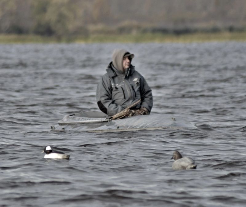 M40 Layout | Layout Boats and Gear, Diver and Sea Duck Hunting