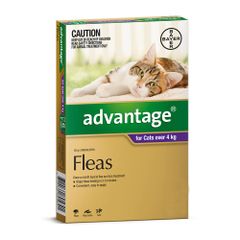 Advantage Over 4kg For Cats