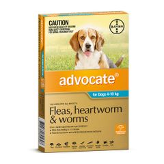 Advocate 4 - 10kg For Dogs