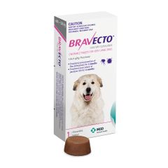 Bravecto 41 -56kg For Dogs