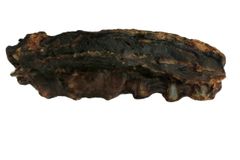 Australian Pet Treats Kangaroo Tail 30/ctn