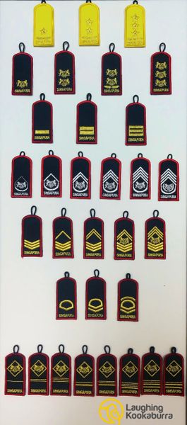 Saf Mini Rank Laughing Kookaburras Corner